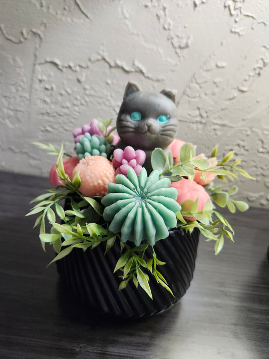 Spooky Kitty Succulents Bouquet